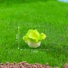 colorful Package No. 6  Chinese cabbage