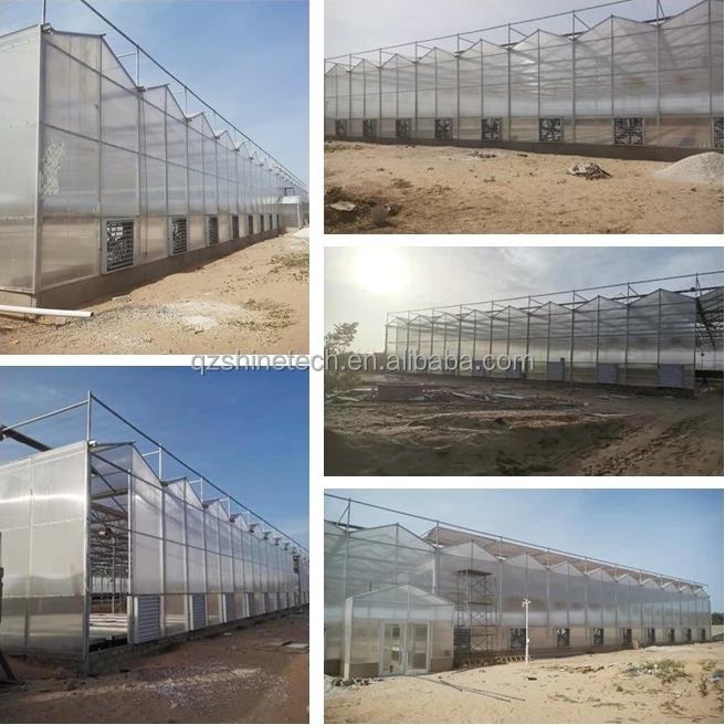 modern greenhouse