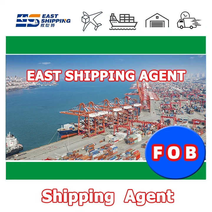 Ocean Freight 20ft 40ft 40hq FOB Container International Freight Forwarder Logistics Sea Ship Cargo To Colombia