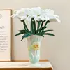 Una sola planta de lirio blanco-40cm 45cm-007kg-original