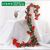 69 French roses (deep red) - 1 high-end encrypted design