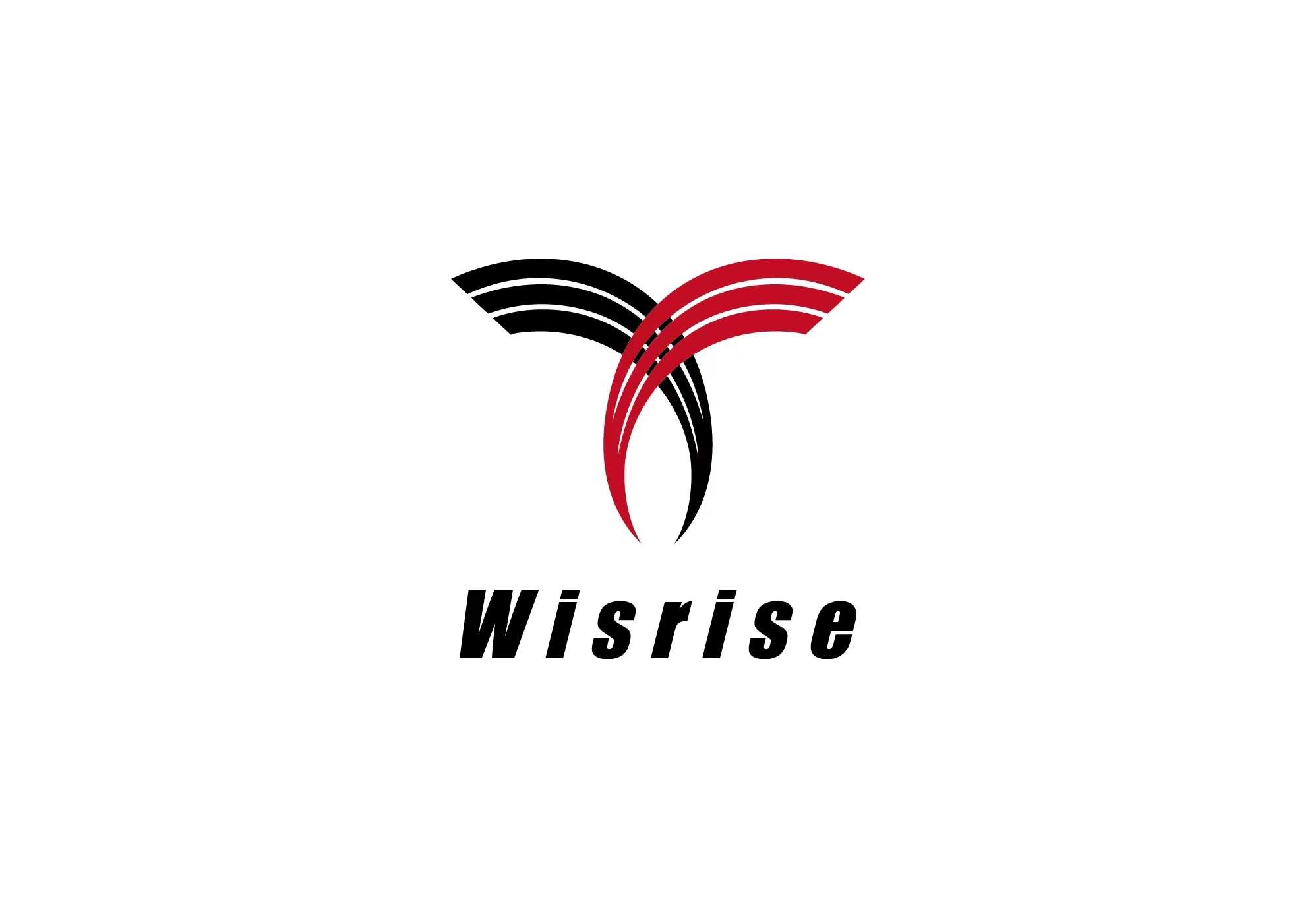 Dongguan Wisrise Fashion Co., Ltd. Logo