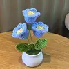 blue bell lily