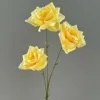 3-headed rose