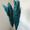 Blu scuro