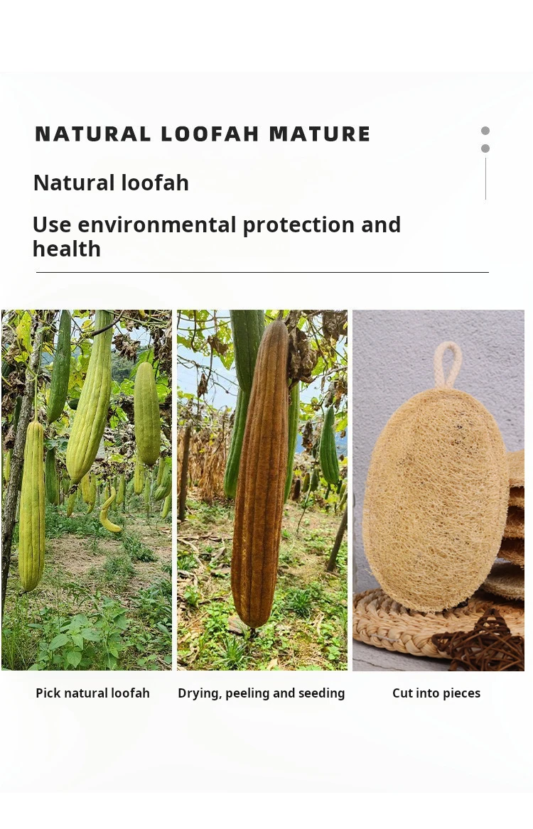 Kitchen Luffa Natural Loofah Sponge Biodegradable Loofah Dish Sponge Non-scratch ...