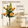 Orange-yellow camellia ground insert tree