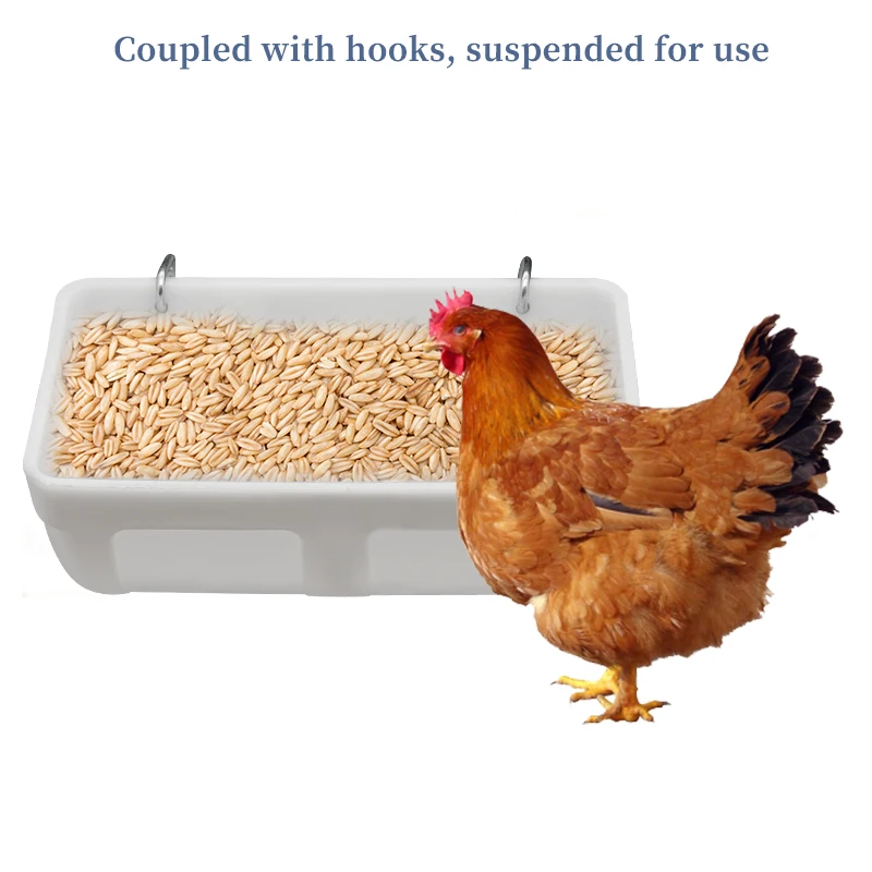 Mangiatoia per galline: quale scegliere tra plastica e lamiera? – Zootec