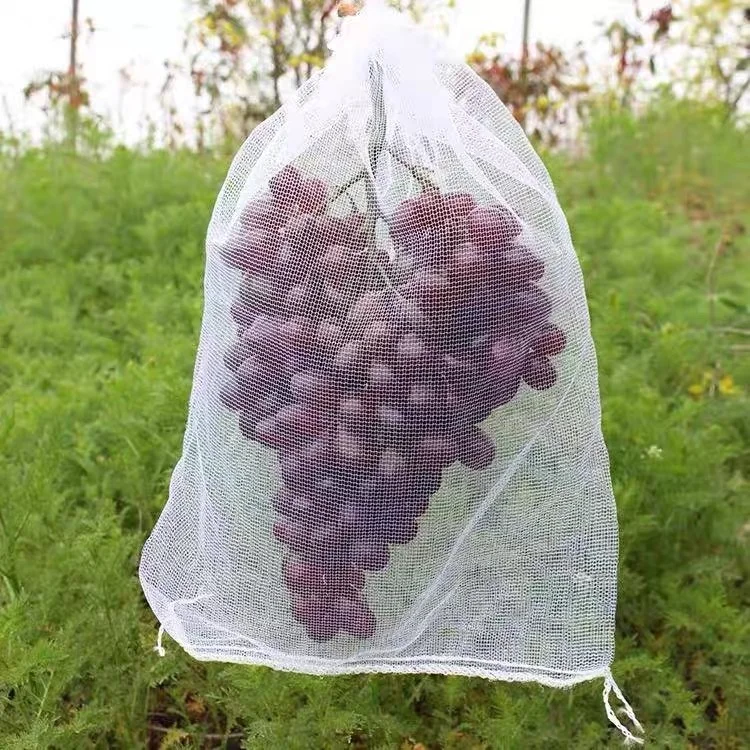 China Supplier Hdpe White Tubular Mesh Bags Grapes Fruit Cover Protection Plastic Bag