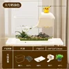 Cream large base climbing stone water grass
