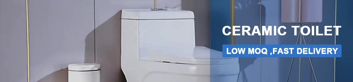 Tarpul Wholesale European Style One Piece Gravity Flushing Washdown Chinese Ceramic Floor Mounted WC Toilet supplier