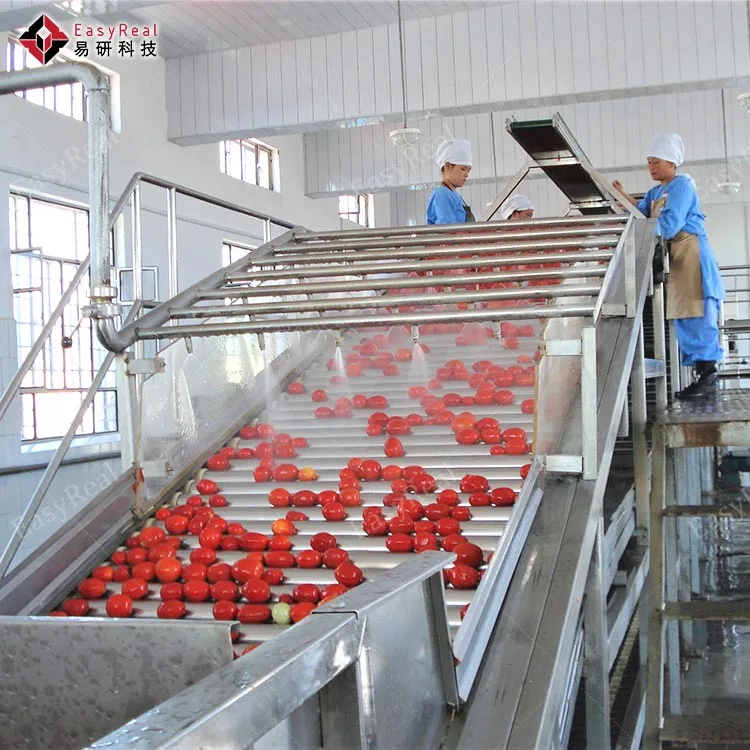 Fully Automatic Hot Break and Cold Break Tomato Concentrate Paste Production Line Processing Plant