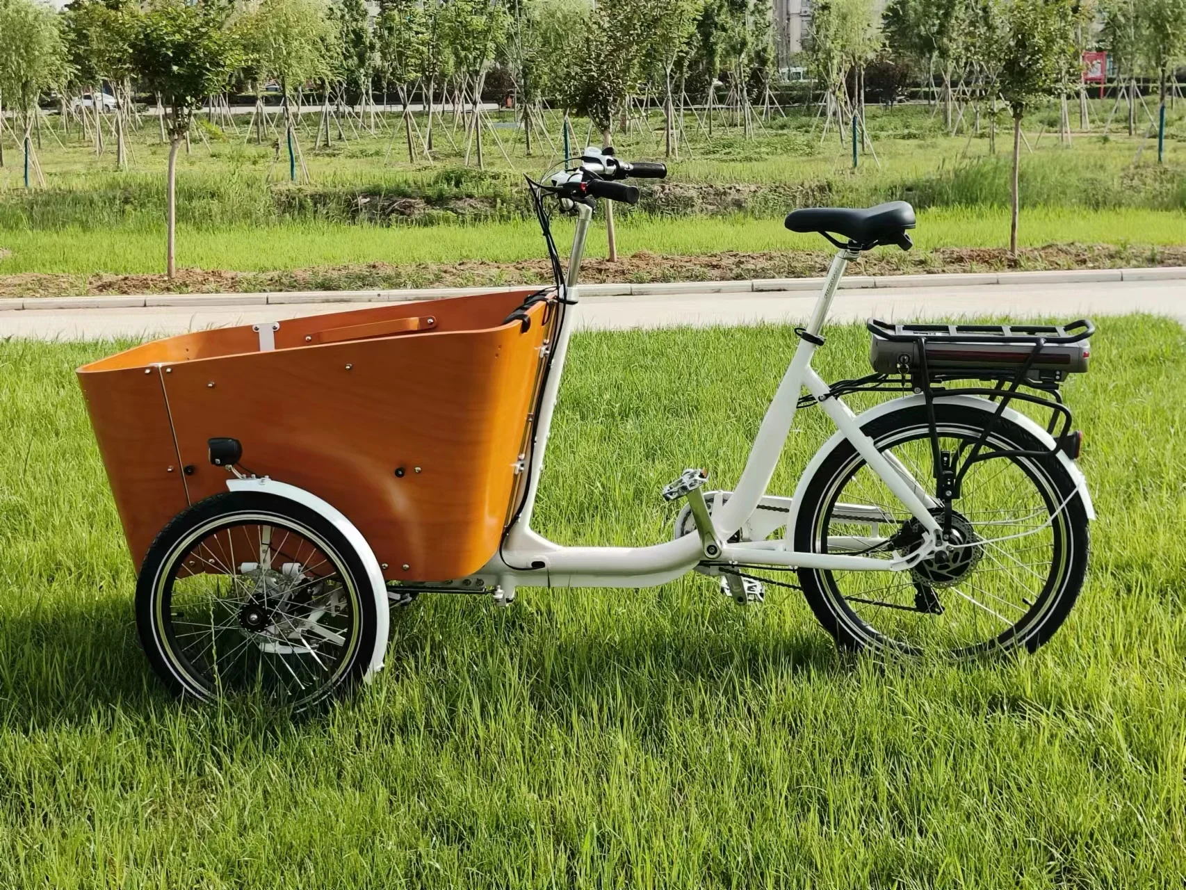 Swing Balance Electric Tilt System Version Cargo Bike 3 Three Wheels Tricycle Cargo Ebike Cargo Dog Ebike Electric Tricycles