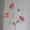 Grigio Rosa