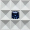 Bleu moyen