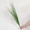 Erba di cipolla