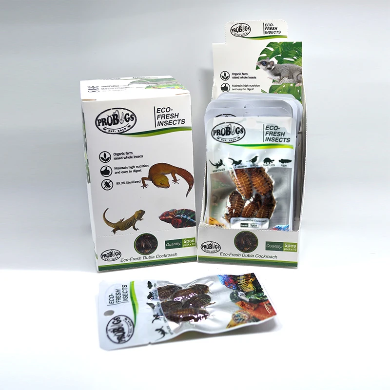 Dubia Cockroach Animal Feed Pet Snacks Eco Fresh Dubia Roach Reptile