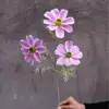 #15 Flores Gesang de 3 Cabezas