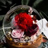 Red Carnation
