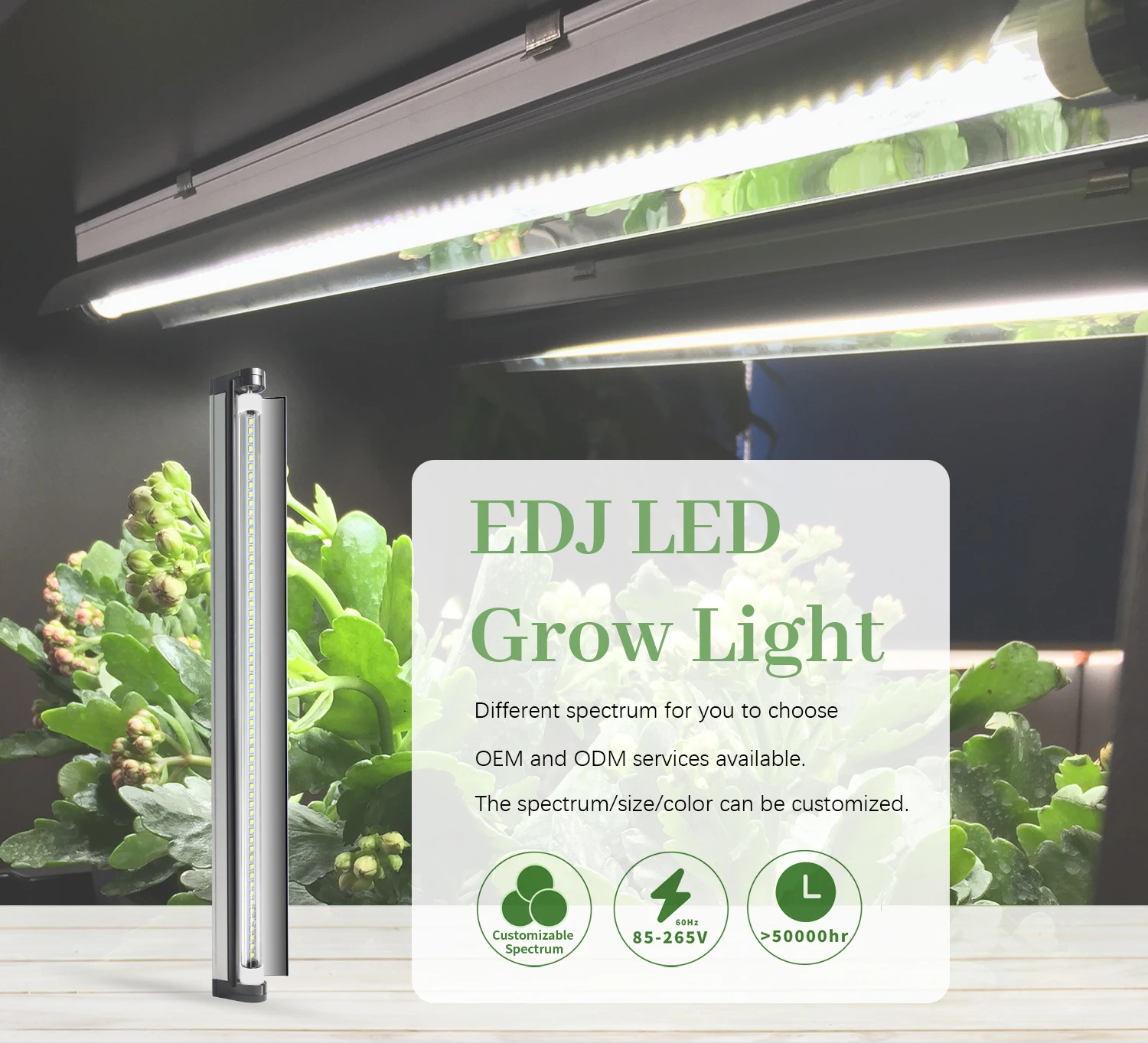 Edj T5 Led 20w 4ft Plant Lighting Hydroponics Farm Nano Grow Light For