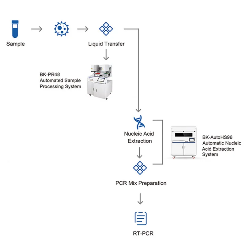 Sample processing. Sample processing