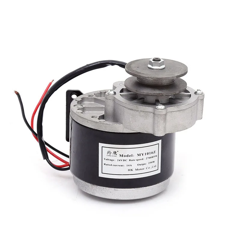 24v250w My1016z Electric Scooters Brushed Dc Electric Motor Buy