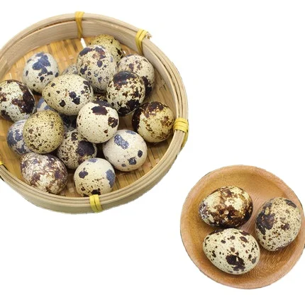 canned quail eggs in brine with competitive price Whatsapp:+86 189 5405 8084