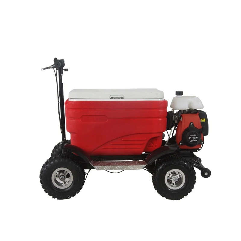 Fourstar Rideable Gas Powered Cooler Scooter Gasoline - Buy Scooter ...