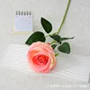 Large velvet champagne pink