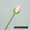Capullos de flores [rosa claro]