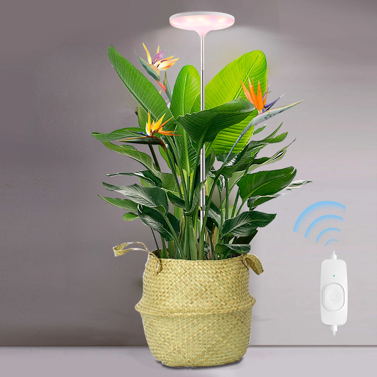 J&C Planter Mate 14w Wifi Indoor Grow Light Umbrella Grow Led Indoor Gardening Lights google Assistant Connected