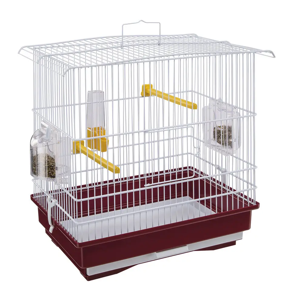 Giusy Canary And Small Exotic Bird Cage - Buy Custom Parrot Canary ...