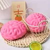 Brain