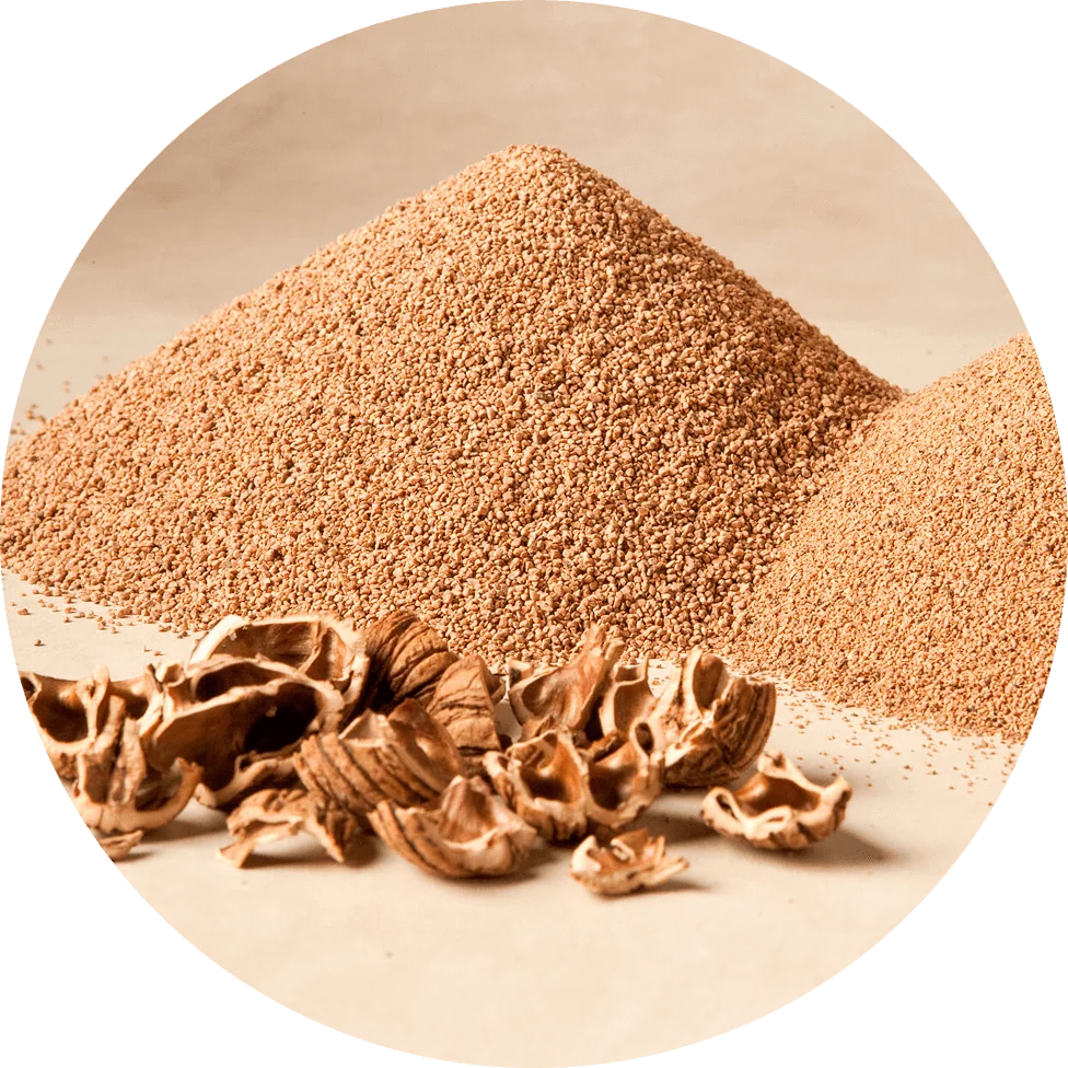 Walnut Shell Cat Litter