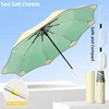 Sea Salt Cheese