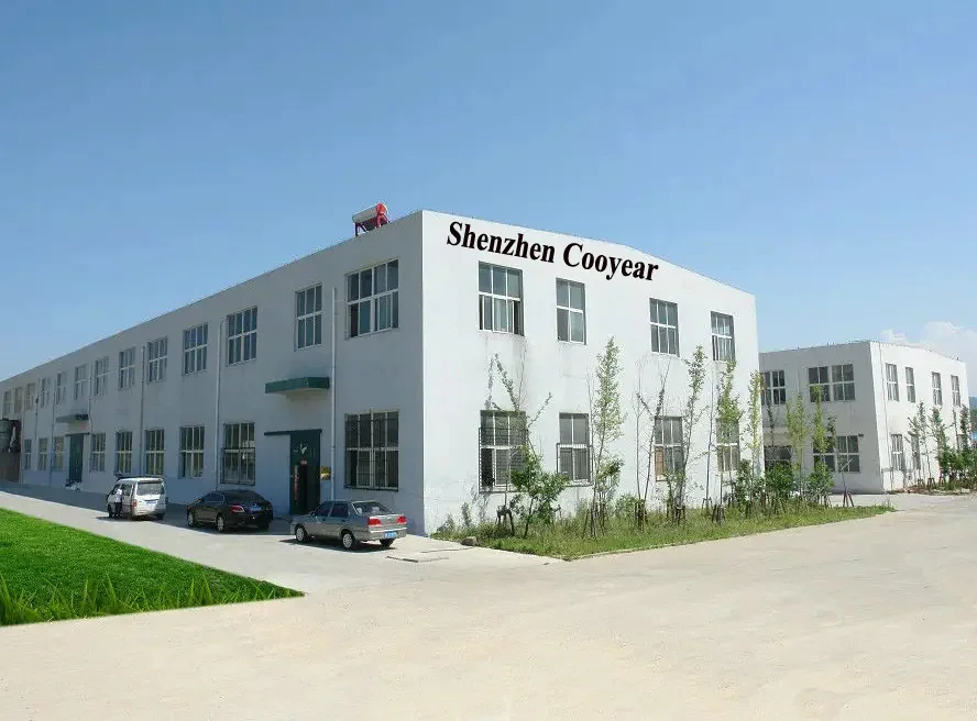 Shenzhen Cooyear Technology Co., Ltd. 2