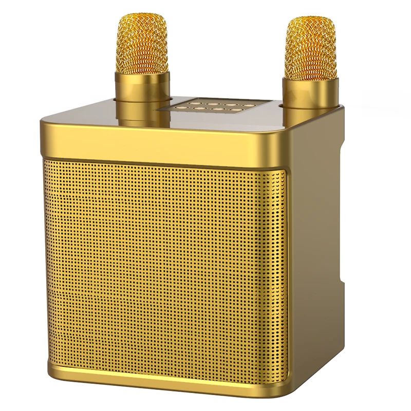 karaoke speaker 