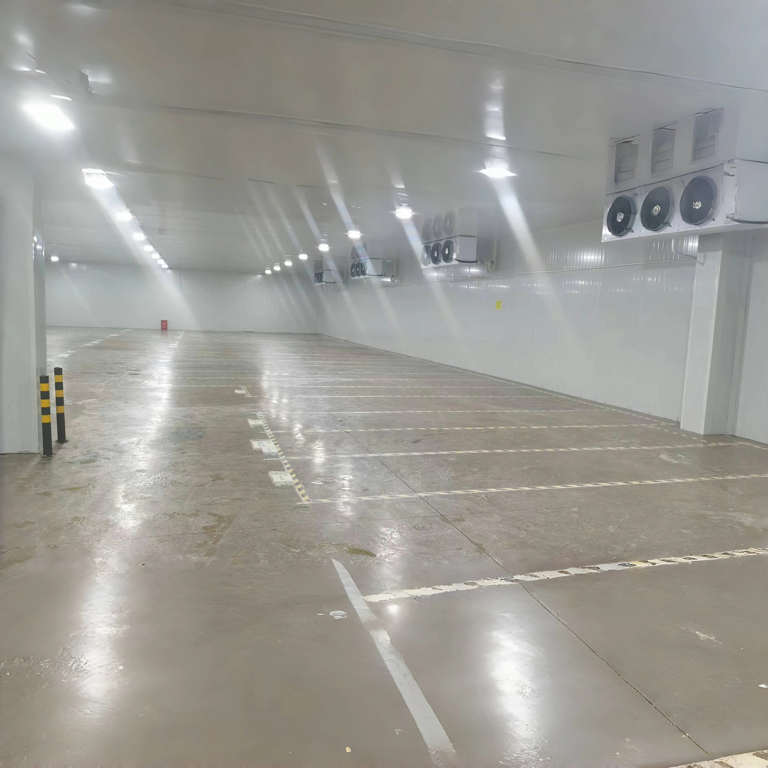 Customized square Meter Cold Room Storage air Cooler Freezing Cold Food Container for Supermarket Made in China