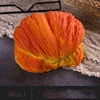 7-Panino al vapore [8,6*7*5,8 cm 20,8 g]