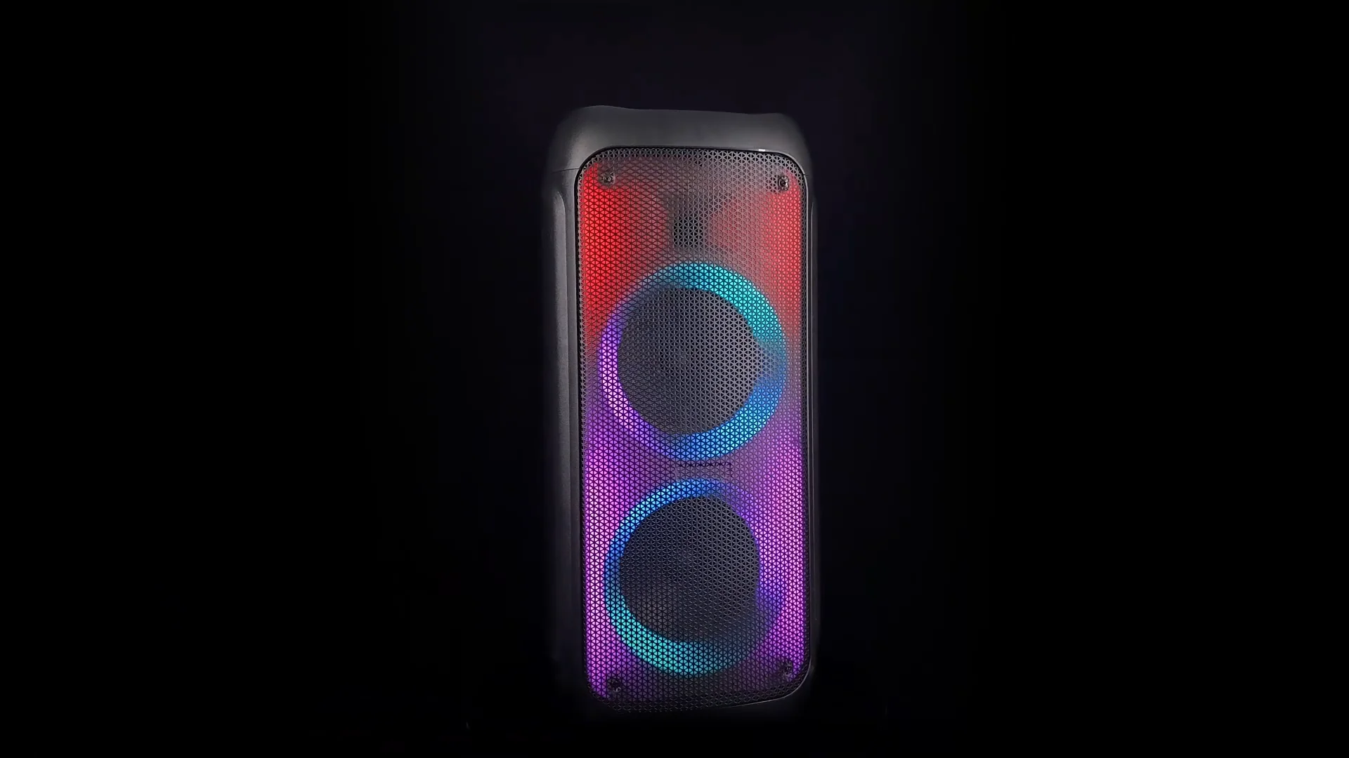 Temeisheng Factory 2022 Double 8 Inch Professional Powful Karaoke Flame