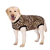 Leopard Print