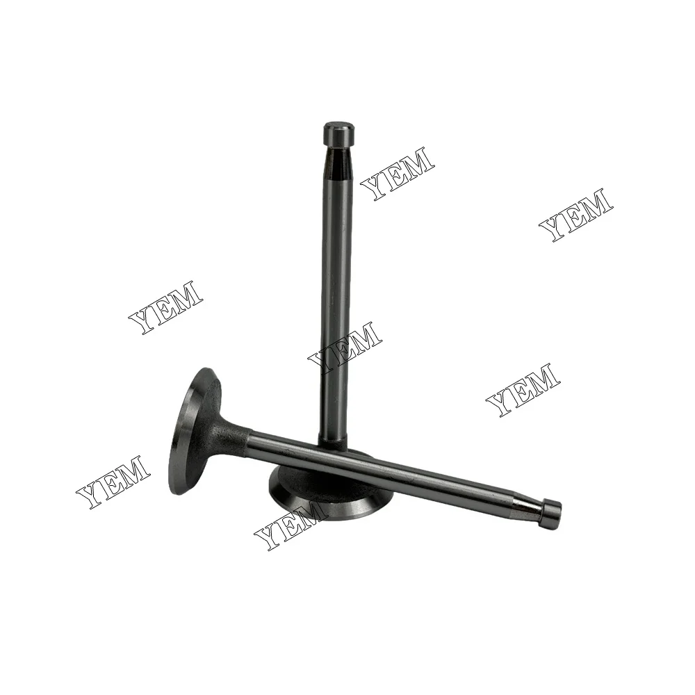 295AD Valve for SDEC Valve Engine Parts Manufacturer 2