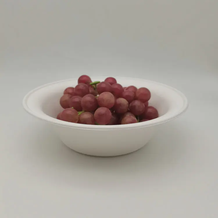 bagasse bowl (29).jpg