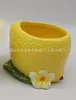 Maceta de 6 limones