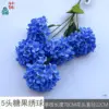 Hortensia Candy de 5 cabezas HN Royal Blue