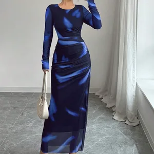 Ladies' Elegant Mesh Dress Gradient Color Mesh Pleated Tight Long Skirt for Spring and Summer New Long Sleeved Long Dress Women