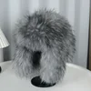 Gray Raccoon