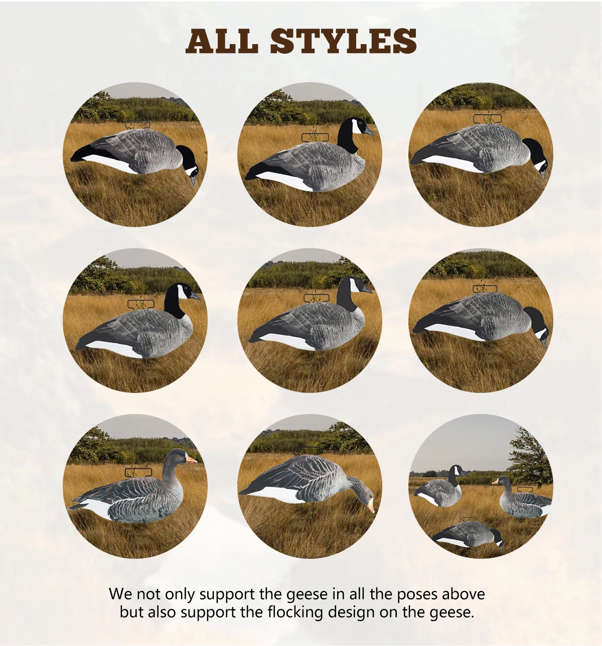 Wholesale Oem Odm Custom Plastic Lifelike Antireflective Pp Silhouette