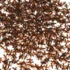 Pequeñas hormigas