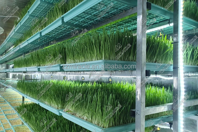 Container 1500kg Hydroponic Fodder System Germination Fodder